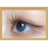 LuxeFlutter - Spiky Multipack Individual False Eyelashes (Various Designs)