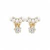 K real gold electroplated zircon pearl star pendant earclip exquisite fashion earrings light luxury high-end earrings women