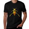 T-shirts e tops – T-Shirts