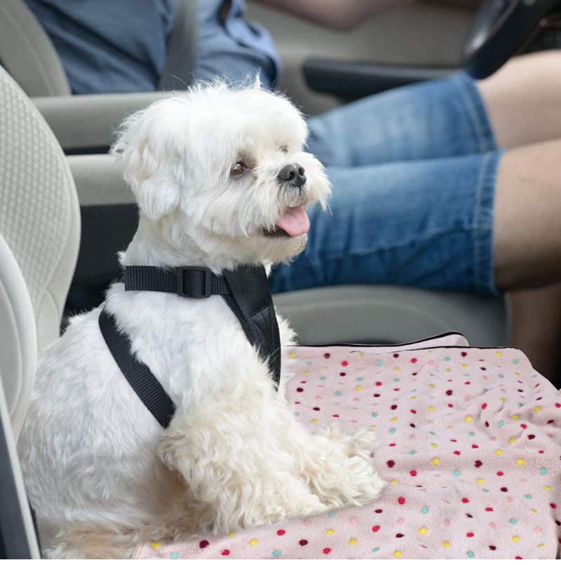 Flannel Pet Blanket for Dogs and Cats - Warm, Suitable for All Seasons