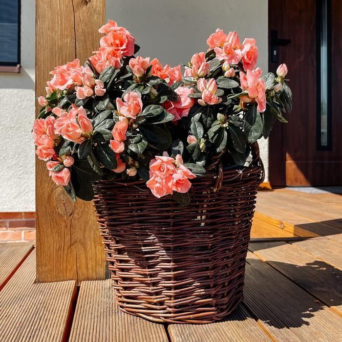 Creative Home Dark Wicker Flower Pot | Height 30 Cm | Hand-Woven | Indoor Protection | Flower Pot Storage