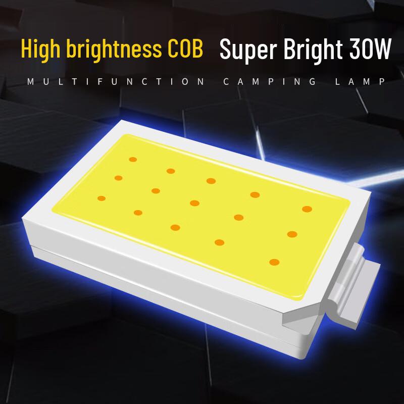 Cherntar 30W LED Work Light with Magnet