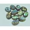 12X16MM Natural Labradorite Oval Cabochon Loose Gemstone 11 Pcs Lot 99Cts. C-3112