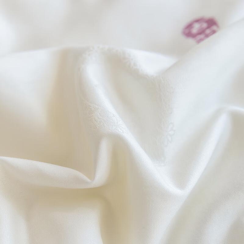 Louis Caro Suzhou Embroidery Mulberry Silk Quilt