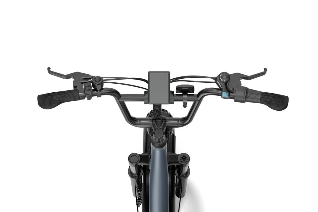 URLIFE E20 PRO Adult Electric Bike 1500W High-Power Motor 48V 15.6AH Battery 20*4.0 Inch Fat Tires for Off-Road & Urban Rides