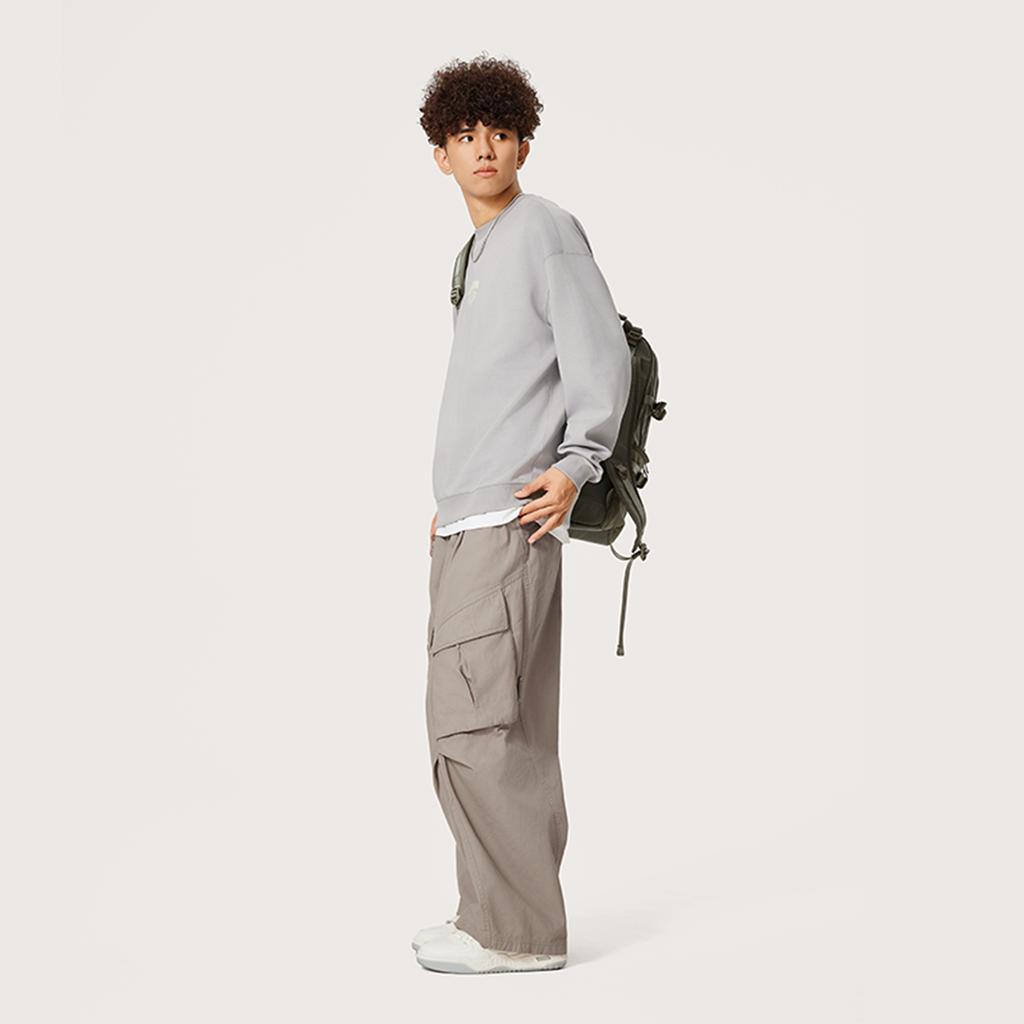 Li Ning Comfortable Casual Crew Neck Pullover Sweatshirt Men Sweatshirt Moon-Surface-Gray AWDU609-2