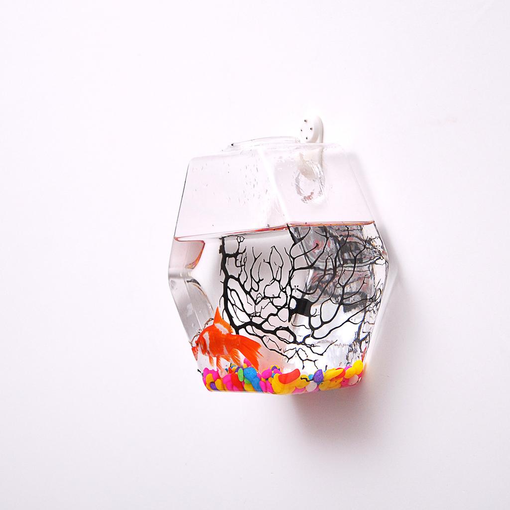 Vaso de flores de vidro de parede 4 peças decoração de casa vaso hidropônico de parede hexagonal recipiente para plantas endro