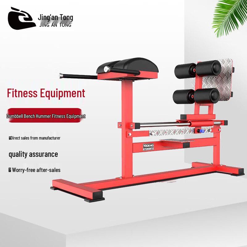 Commercial Gym Dumbbell Bench