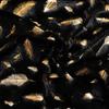 Decorative Pillowcase, Feathers, Black