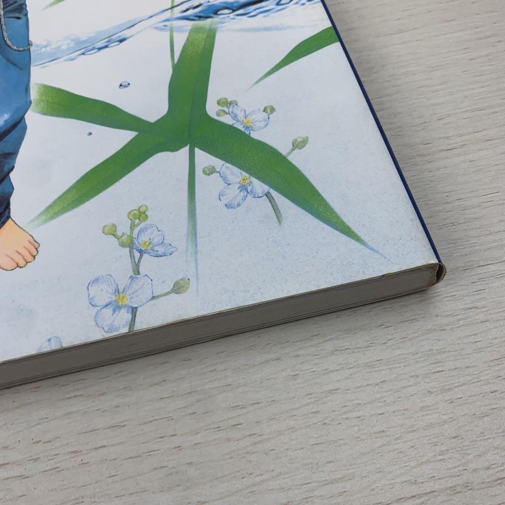 [USED] Watermark: Minako Narita Art Collection First Edition Watermark