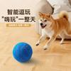 Cães – Brinquedos para cães