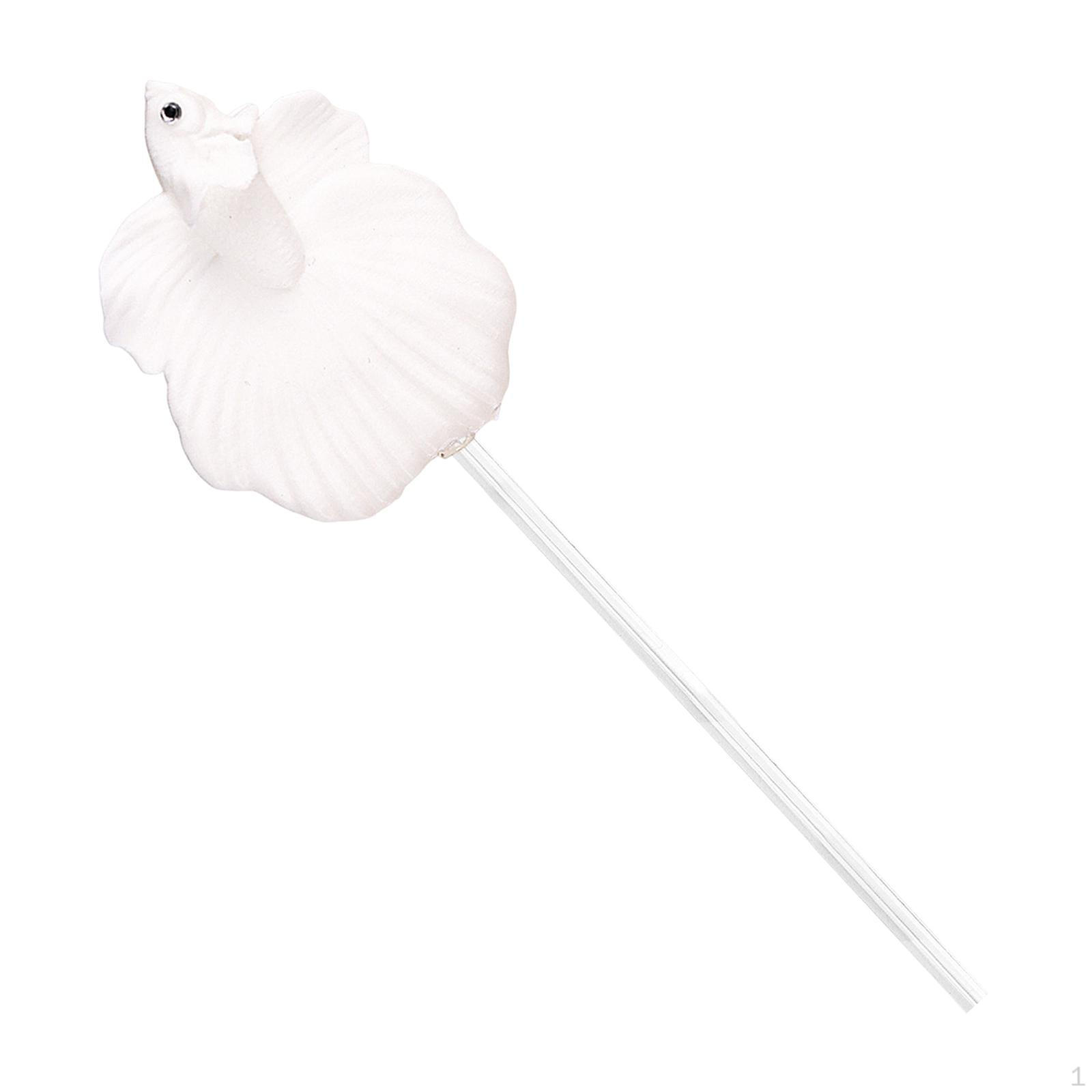 

Betta Fish for Training, Ideal Beginners. Portable, , And Decorating Aquariums. White