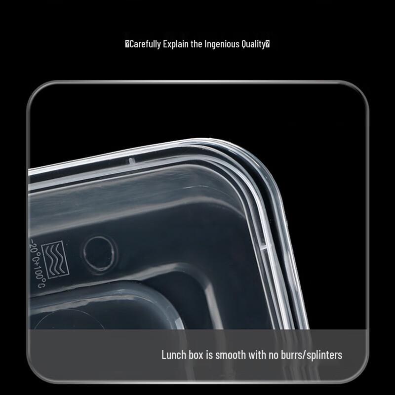 Rectangular Disposable Meal Box with Lid