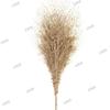 Leafless Bamboo Road Cleaning Broom