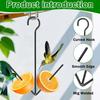Oriole Bird Feeder Outdoor Hanging Orange Fruit Food Holder with Hook Weather-proof Outside Garden Metal Hummingbird Feeding Device