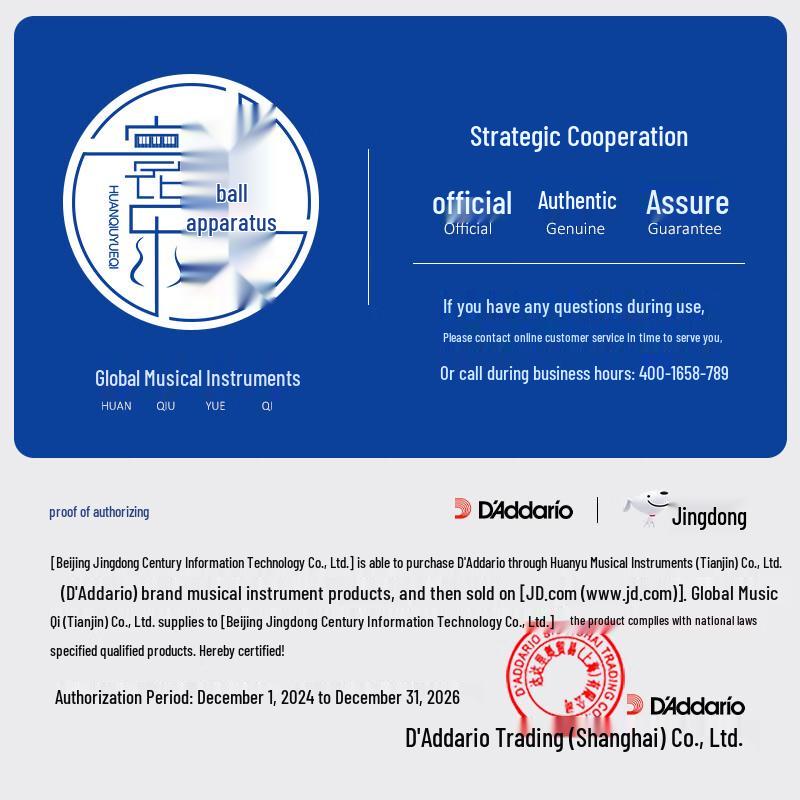 D'Addario EJ16 Acoustic Guitar Strings