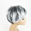 Wig Female European And American Fashion Short Hair Female Black And White Chemical Fiber Headgear