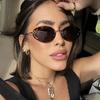 Small Oval Frame Retro Sunglasses Luxury Metal Designer Shades Women Trendy Fashion Leopard Beach Sun Glasses