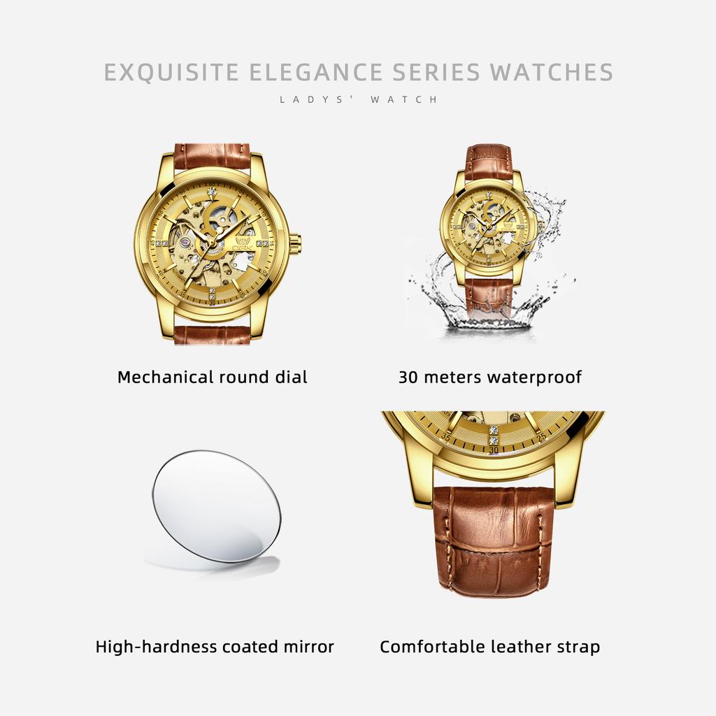 OPK 6101 Skeleton Men's Mechanical Wristwatch Leather Strap Luminous Classic Original Automatic Gold Man Watch