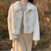 Winter new cotton thickened lamb wool coat women's short small horn buckle imitation rabbit plush fur