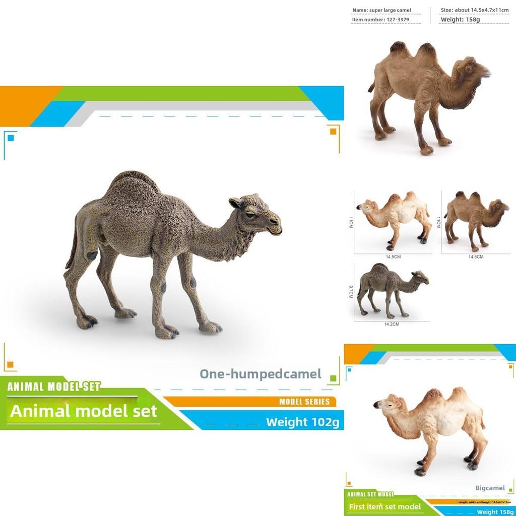 Animal Wildlife Pvc Model Single Hump Camel Decorative Toy For Kids Educational Gift