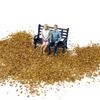 56ml Scenery Making Scene Model Wargame Accessories Layout Simulation Mini Leaves Sand Table Miniature Static Leaf