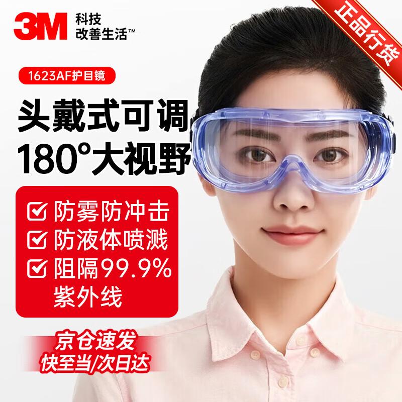 3M 1623AF Industrial Anti-Fog Safety Goggles Standard