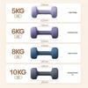 Jingdong Dip-Coated Cast Iron Dumbbells