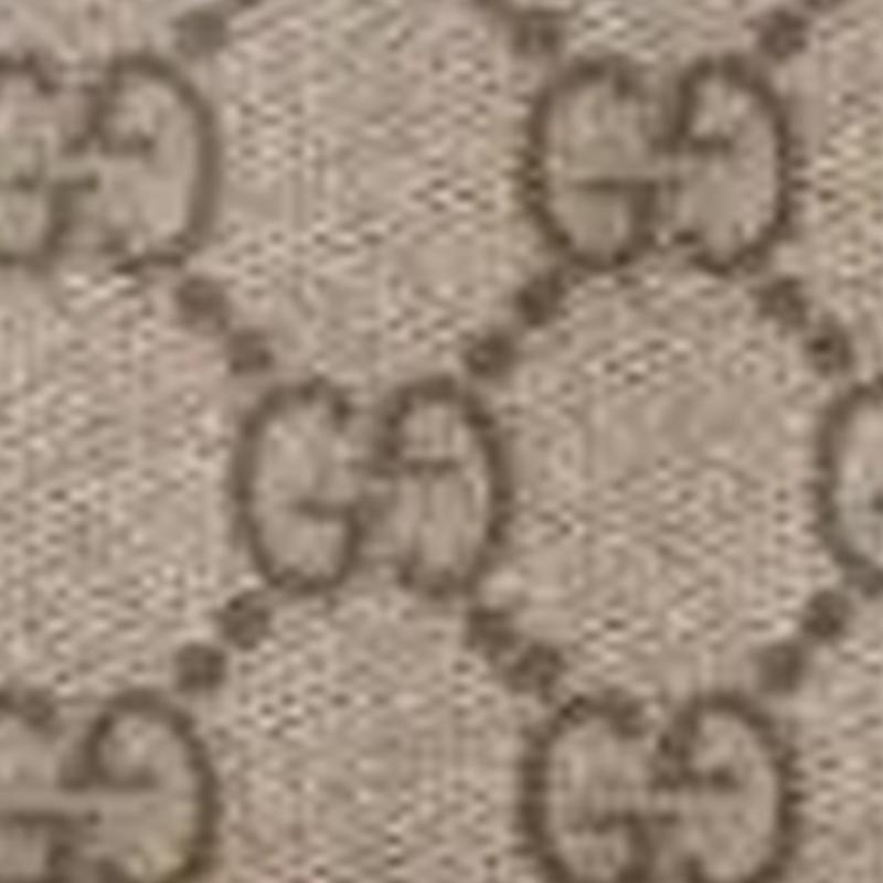 Gucci GG Emblem Iconic Brand Logo Print Coated Canvas Card Holder Women's Beige and Dark Brown