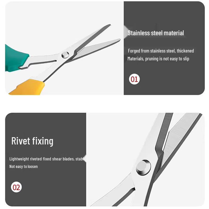 Stainless Steel Sharp Fruit & Berry Shears for Plants & Vegetables