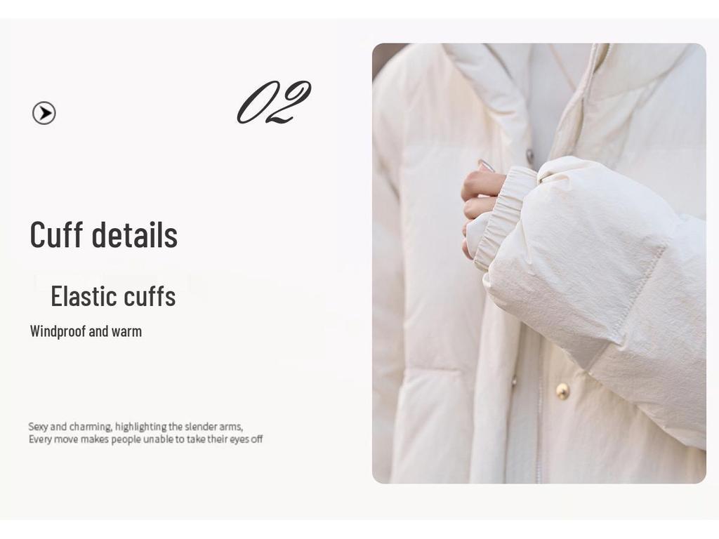 2024 Winter Korean-Inspired Loose Petite Stand-Up Collar Down Jacket for Women