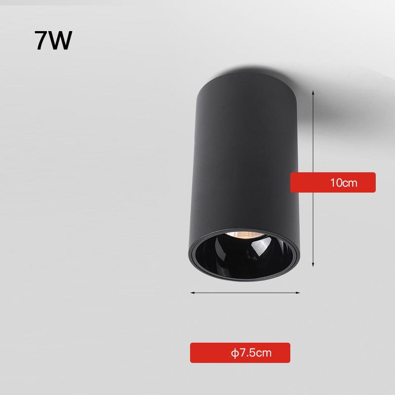 

LED Downlight 12W 20W 30W Ceiling Spotlights Living Lamp Nordic Lighting For Kitchen Aisle Spot Light Surface Mounted AC90-260v 6000K cool white