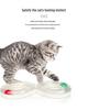Self-Playing Cat Turntable Toy with Automatic Teasing Stick & Track Ball for Boredom Relief