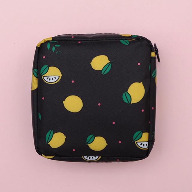 Borsa da donna per tampone impermeabile Mini tovagliolo sanitario Borsa da toilette Borsa da viaggio per cosmetici Custodia per trucco Cavo dati Borsa da donna