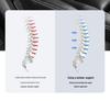 Four Seasons Breathable Gel Lumbar Support Pad for Car - Ideal for Long Sitting