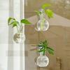4pcs/set Self-Watering Plant Hydroponic Vase Transparent Hanging Fish Tank Mini Flower Pot  Bathroom