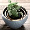 Nordic Style Extra-Large Ceramic Flower Pot for Indoor/Outdoor Use - Ideal for Money Tree, Pothos, and Creative Bonsai.