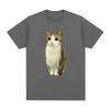 Cat Owl Funny Meowl Meme Brainrot Graphic Tshirts Unisexs Women Clothing Fashion Short Sleeves Tshirt Cotton Oversized T Shirts