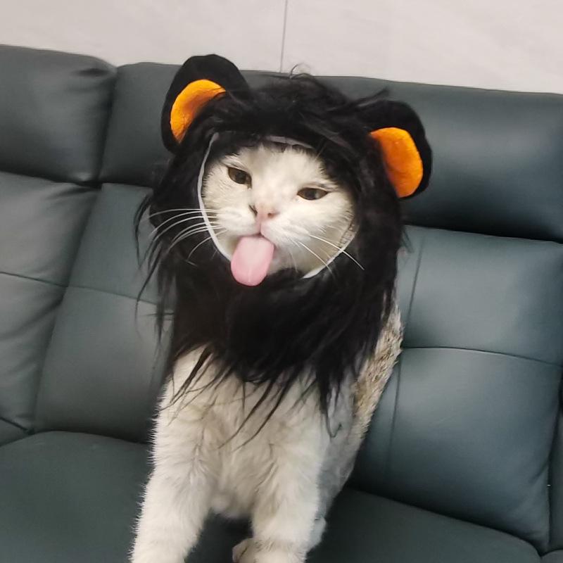 Lion Mane Costume for Cats and Dogs - Animal Headdress Wig