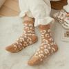 Random 5 Pairs of Colors Mixed Women'S Coral Fleece Mid-Calf Socks, Autumn Winter Fleece Thick Warm Socks, Fashion Leopard Print
