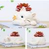 Succulent Plant Pot with Hole Flower Planter Flowerpot Lovely Little Cat Decor