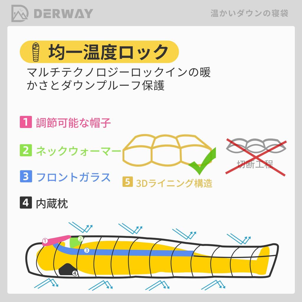 Derway Down Sleeping Bag with Pillow Envelope Compact Lighter and Suitable for 4 Seasons Emergency Outdoor Car Use 800g Down (22080cm), Type,