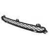 Lower Radiator Grille for BMW X3 F25 (51117210465/51117210466)