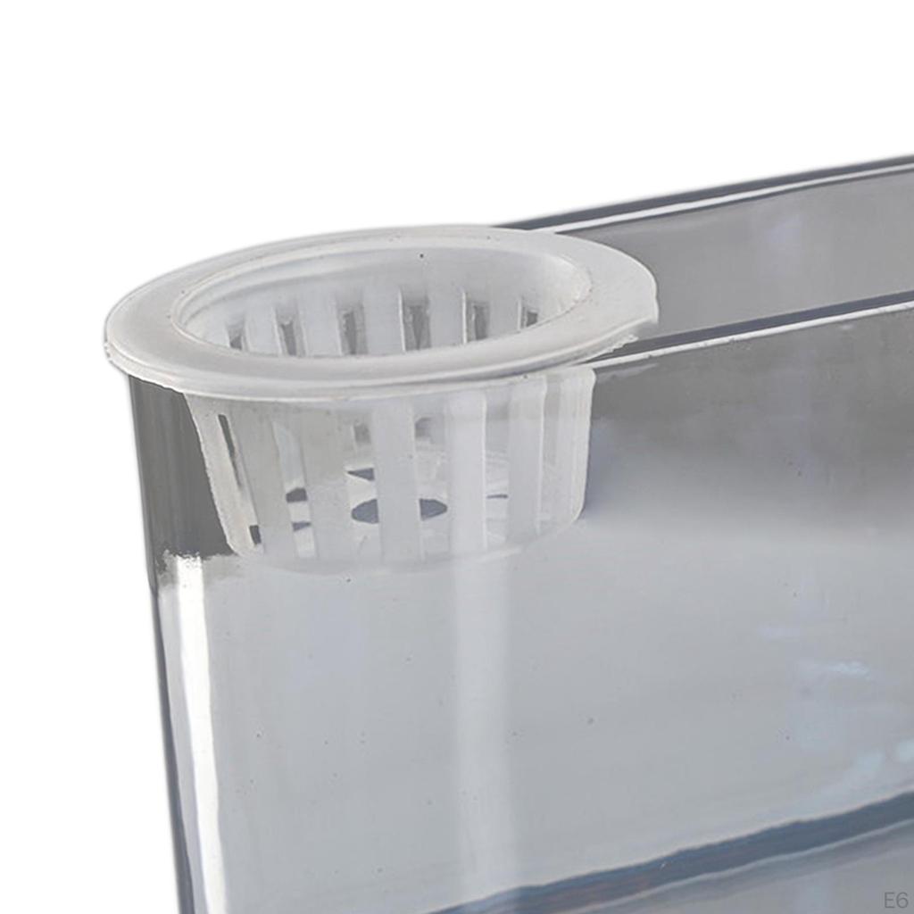 Aquaponic Tank Plant Growing System Cleaning Decoration Flower Arrangement Container Garden for