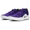 Nike 2018 HyperDunk X Low Court Purple AR0463-500