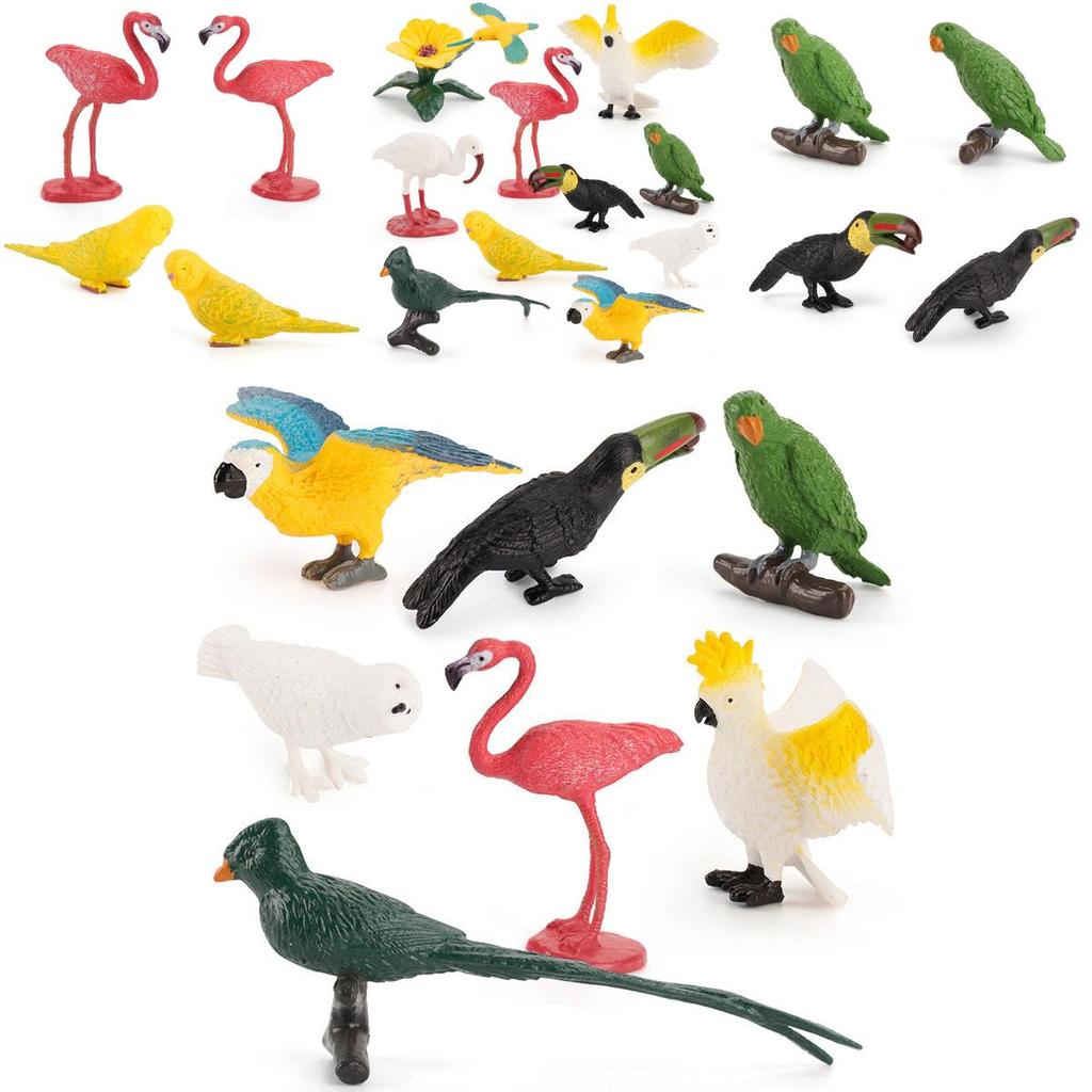 Kids Wild Bird Replica Pvc Educational Toy For Science Projects And Gift