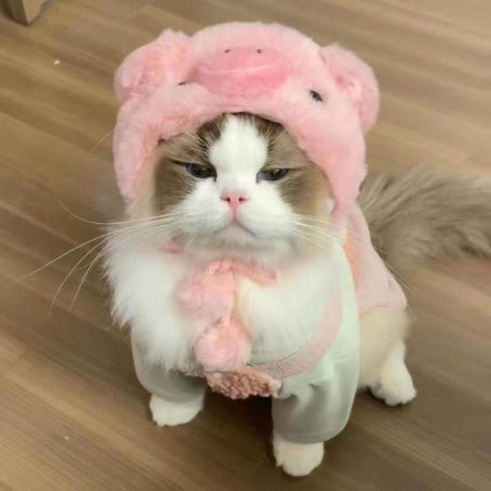 Funny Cat Cap Bear Plush Head Cover Cute Cat Dog Woven Warm Headdress Pet Hat Kitten Puppy Cosplay Costume Accessories