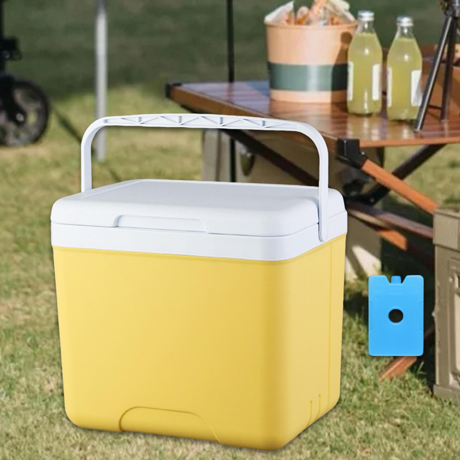 

Сумка-холодильник для хранения вещей для кемпинга с ручкой, органайзер для хранения льда для путешествий и пикников 13L