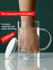 High Borosilie Glass Cup with Sc Large Capaci 000ml Tea Brewing Cup Heat Resistant Lid Included Home Use Water Cup