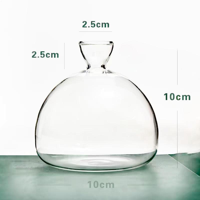Japanese Style Avocado Seed Starter Glass Vase Avocado Planting Vase Avocado Seed Core Growing Hydroponic Container Home Decor